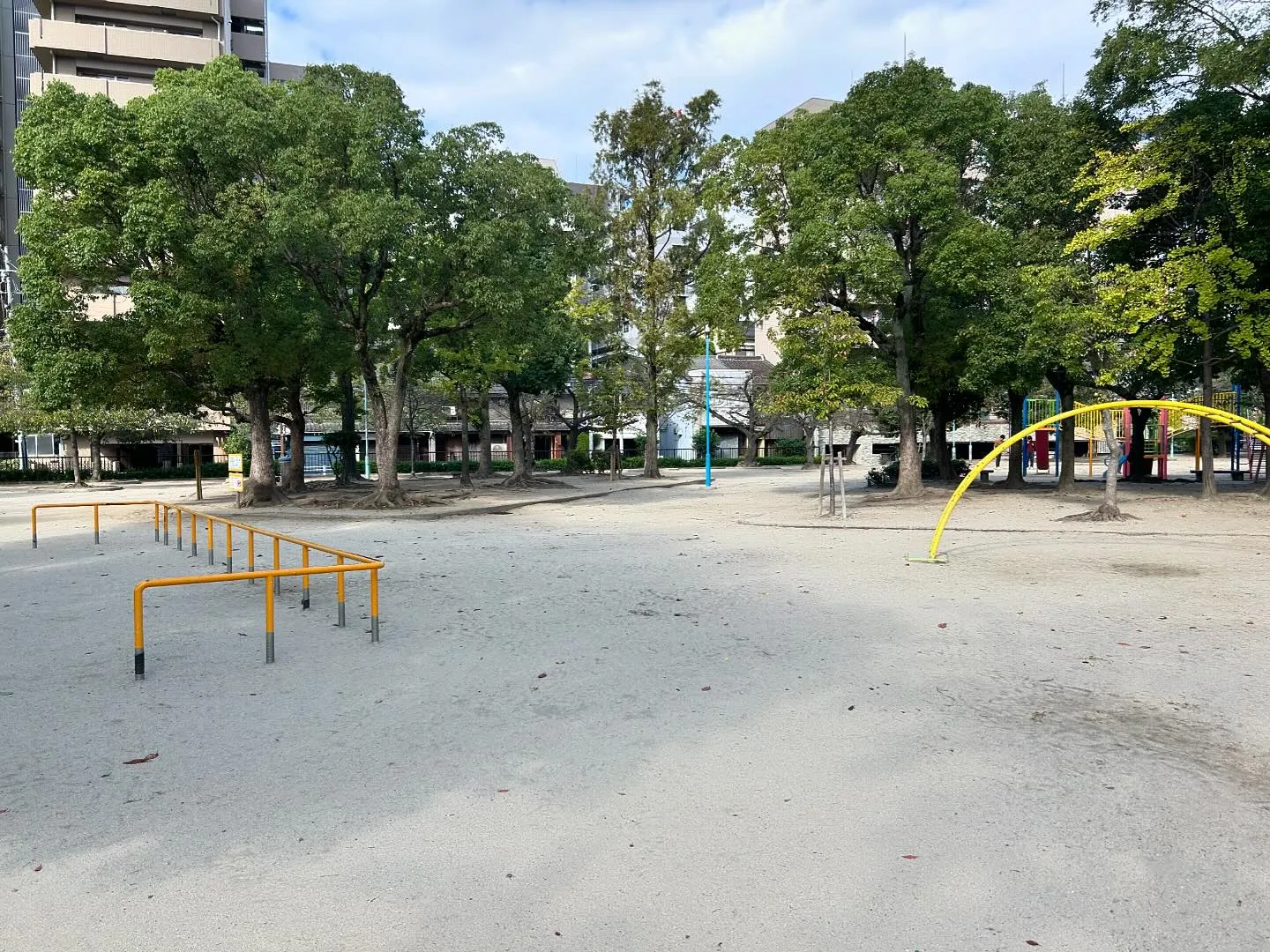 今日のいいもの　「公園清掃奉仕」