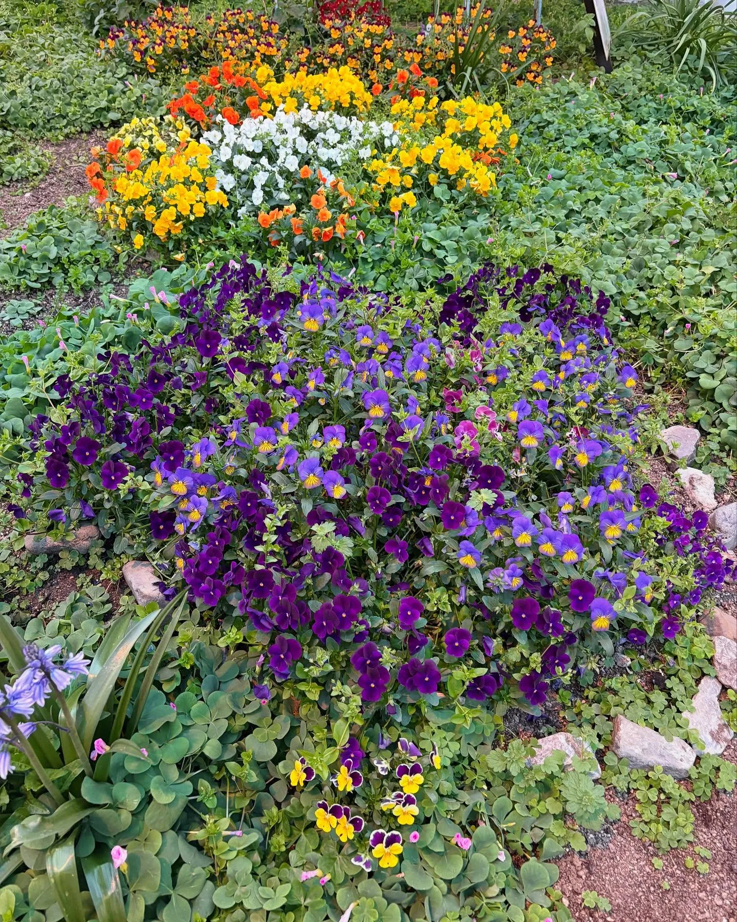 雲ひとつなく風爽やかな絶好の行楽日和で