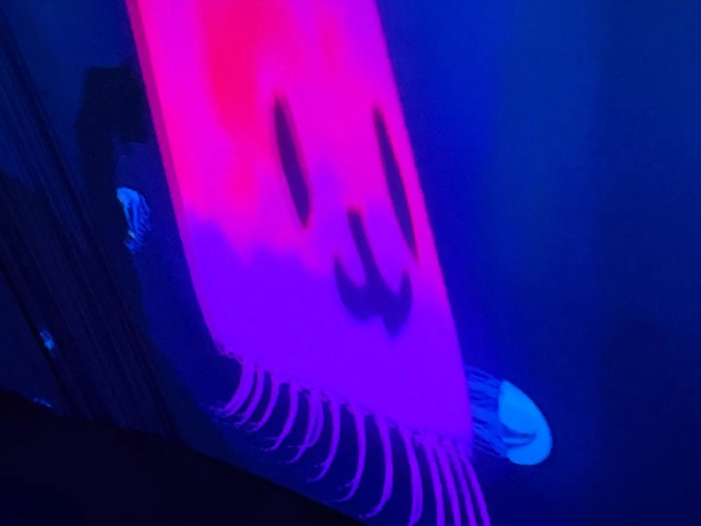 大阪・関西万博パビリオンご紹介 いのちの遊び場 クラゲ館