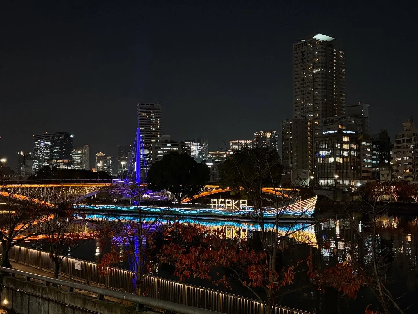 大川イルミネーション