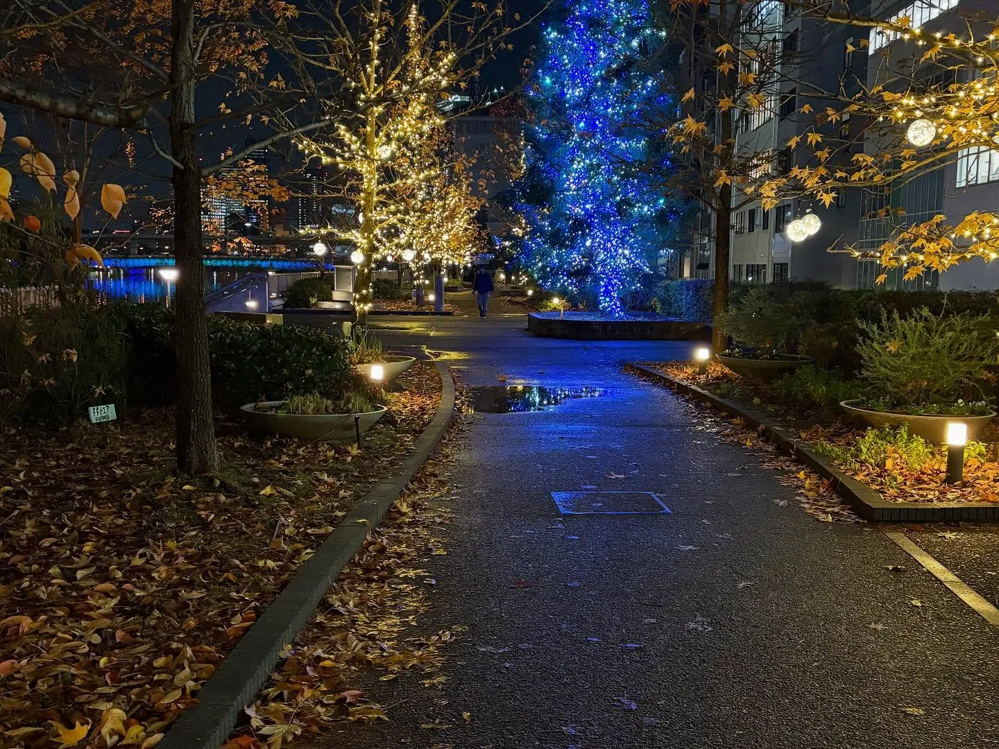 大川イルミネーション